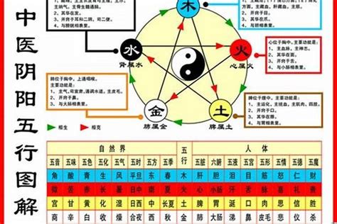 鼠屬五行|生肖鼠五行属什么？从土到木，解密老鼠的五行属性